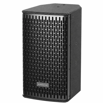 AUDIOCENTER DS10 – רמקול פסיבי מקצועי 10″ | 250W |